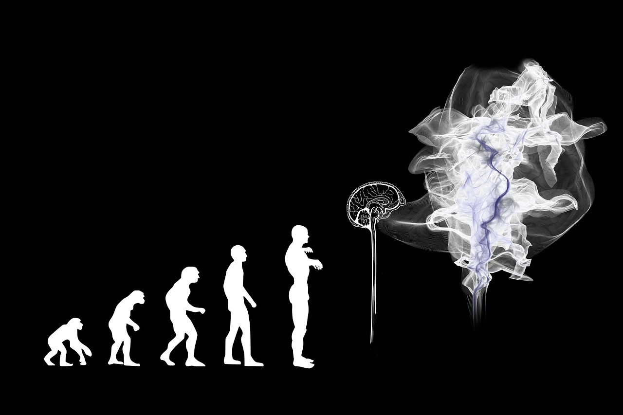 Tracing the Evolution of Intelligence